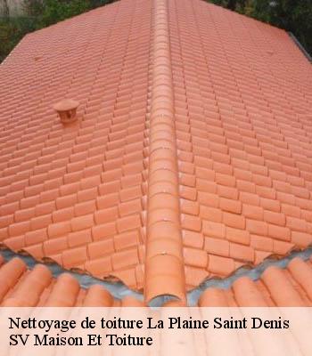 Nettoyage de toiture