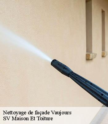 Nettoyage de façade
