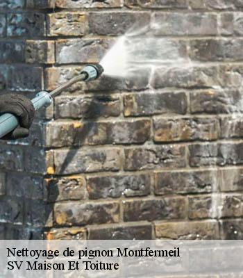 Nettoyage de pignon
