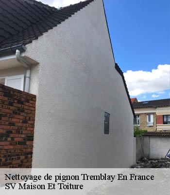 Nettoyage de pignon