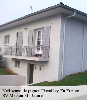 Nettoyage de pignon