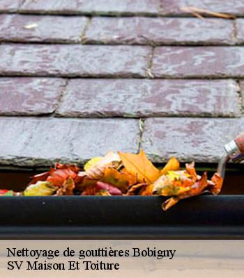 Nettoyage de gouttières