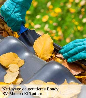 Nettoyage de gouttières