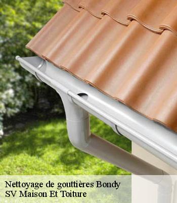 Nettoyage de gouttières