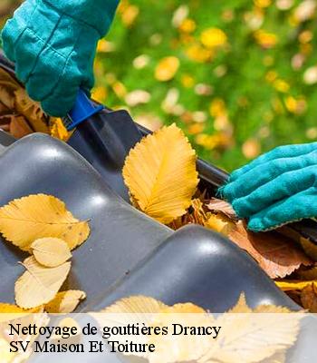 Nettoyage de gouttières