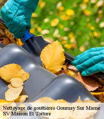 Nettoyage de gouttières