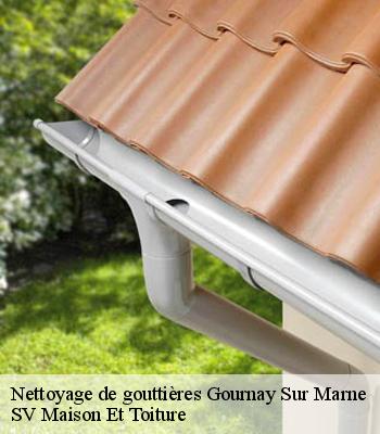 Nettoyage de gouttières