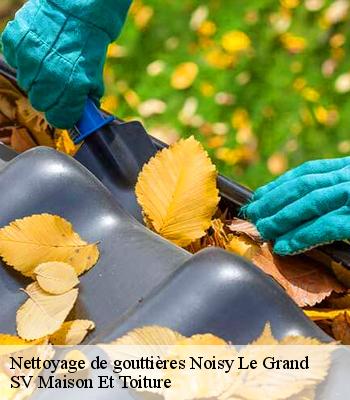 Nettoyage de gouttières