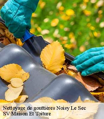 Nettoyage de gouttières