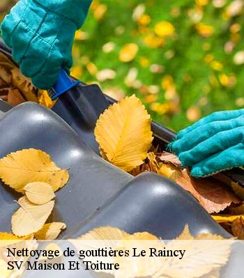 Nettoyage de gouttières