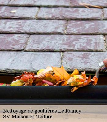 Nettoyage de gouttières