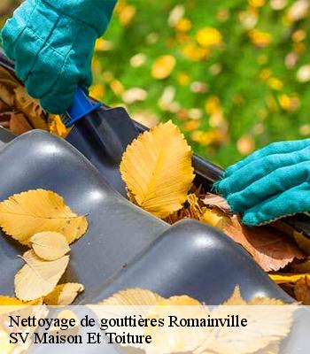 Nettoyage de gouttières