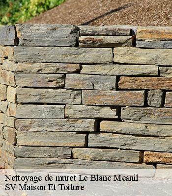 Nettoyage de muret