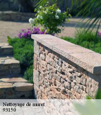 Nettoyage de muret