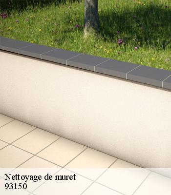 Nettoyage de muret
