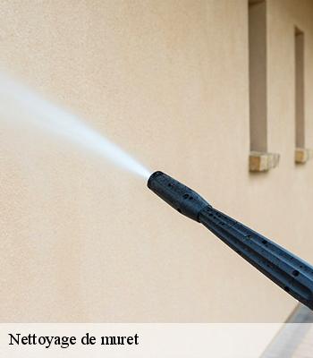 Nettoyage de muret