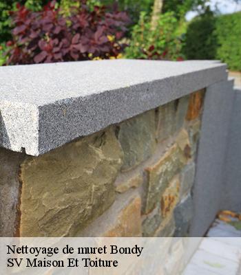 Nettoyage de muret