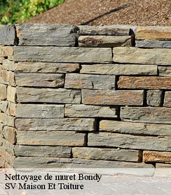 Nettoyage de muret