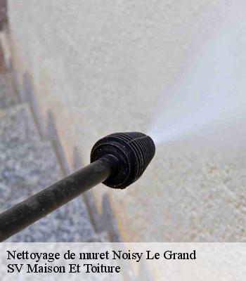 Nettoyage de muret