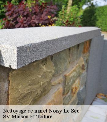 Nettoyage de muret