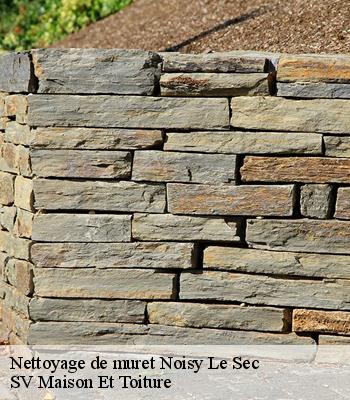 Nettoyage de muret