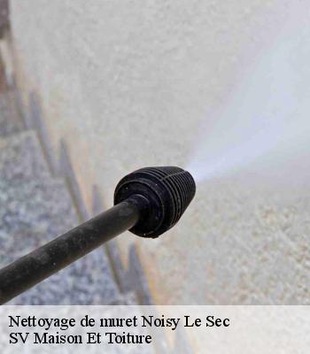 Nettoyage de muret