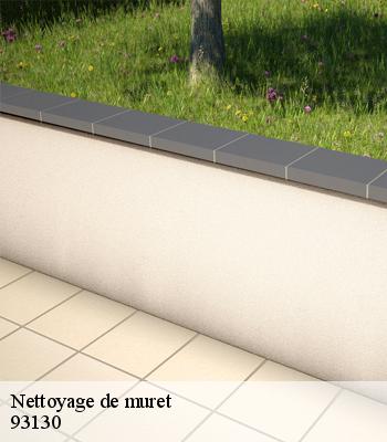 Nettoyage de muret