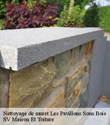 Nettoyage de muret