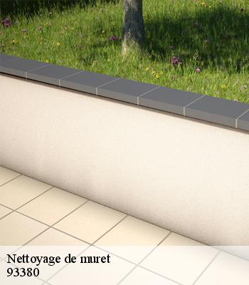 Nettoyage de muret