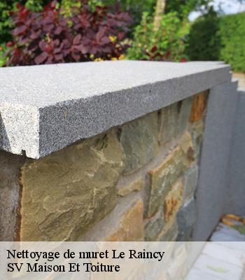 Nettoyage de muret