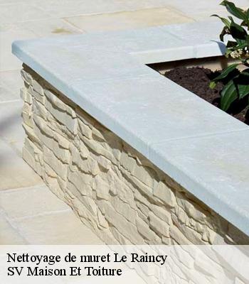 Nettoyage de muret