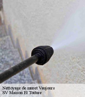 Nettoyage de muret