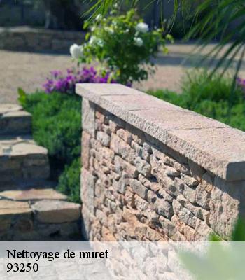 Nettoyage de muret