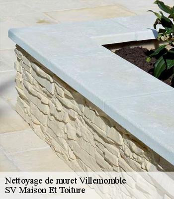 Nettoyage de muret