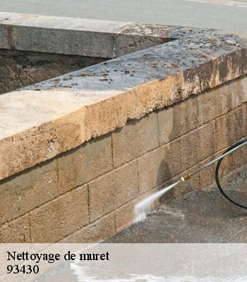 Nettoyage de muret