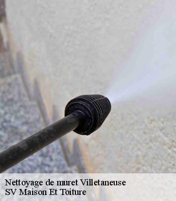 Nettoyage de muret