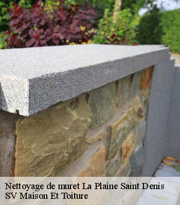 Nettoyage de muret