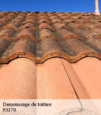 Demoussage de toiture