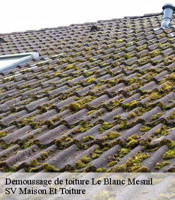 Demoussage de toiture