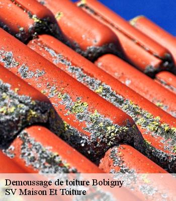 Demoussage de toiture