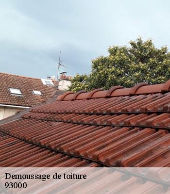 Demoussage de toiture