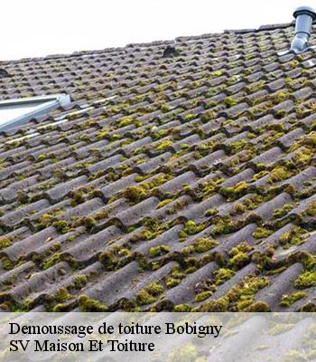 Demoussage de toiture