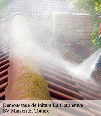 Demoussage de toiture