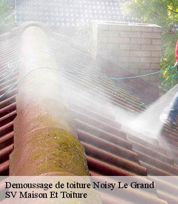 Demoussage de toiture