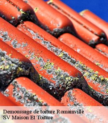 Demoussage de toiture