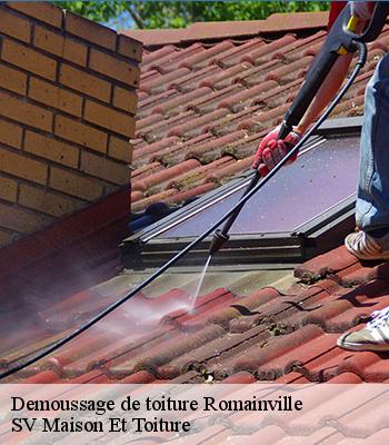 Demoussage de toiture