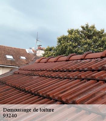 Demoussage de toiture