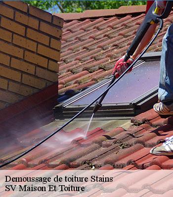 Demoussage de toiture