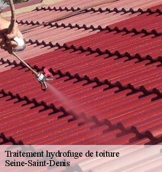 Traitement hydrofuge de toiture