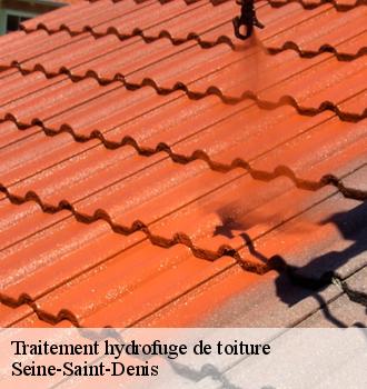 Traitement hydrofuge de toiture